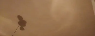 Business 26 image BSB PLASTERING Roofing Contractors in Wigan La