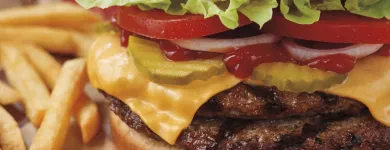 Business 1 image BURGER KING Restaurants in Llanelli Dy
