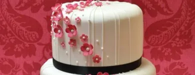 Business 11 image CAKE MAKERY Cake Makers & Decorations in Fleet Ha