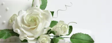 Business 12 image CAKE MAKERY Cake Makers & Decorations in Fleet Ha