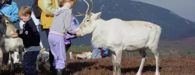 Business 1 image CAMBERLEY AUTO FACTORS LTD Motor Factors in Radstock Av