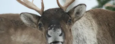 Business 3 image CAMBERLEY AUTO FACTORS LTD Motor Factors in Radstock Av