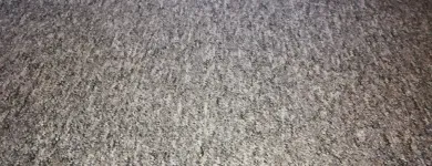 Business 23 image CARPET & UPHOLSTERY CLEANING MANCHESTER Upholstery Cleaners in Manchester Gr