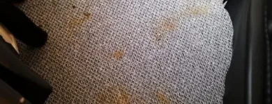 Business 34 image CARPET & UPHOLSTERY CLEANING MANCHESTER Upholstery Cleaners in Manchester Gr