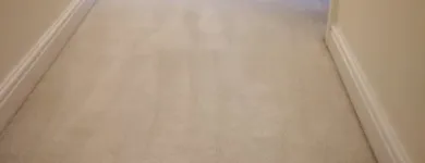 Business 35 image CARPET & UPHOLSTERY CLEANING MANCHESTER Upholstery Cleaners in Manchester Gr