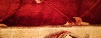 Business 44 image CARPET & UPHOLSTERY CLEANING MANCHESTER Upholstery Cleaners in Manchester Gr