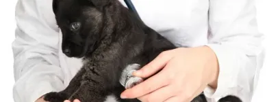 Business 5 image CAVAN VETS Vets in Wolverhampton We