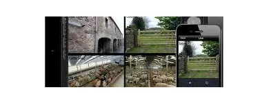 Business 5 image CHEQUE CENTRE Credit & Finance Companies in Eastleigh Ha