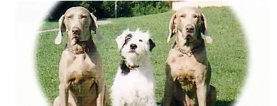 Business 6 image COMPLETE KITCHENS & BEDROOMS Kitchen Planning & Installation in Bolton La