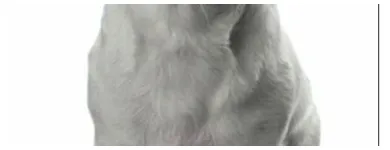 Business 4 image CONTACT INDUSTRIAL RECRUITMENT LTD Recruitment Consultants in Manchester La