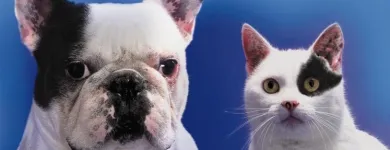 Business 1 image CONTACT INDUSTRIAL RECRUITMENT LTD Recruitment Consultants in Manchester La