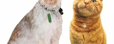 Business 2 image CONTACT INDUSTRIAL RECRUITMENT LTD Recruitment Consultants in Manchester La