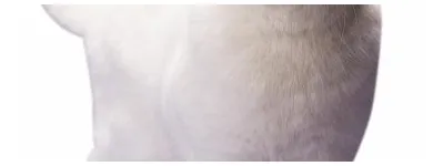 Business 3 image CONTACT INDUSTRIAL RECRUITMENT LTD Recruitment Consultants in Manchester La