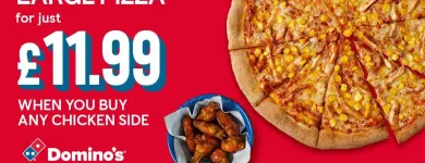 Business 14 image DOMINO'S PIZZA - ALDRIDGE Food Delivery in Aldridge We