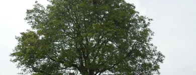 Business 17 image FIRST IMPRESSIONS Bridal Shops in Llanelli Dy