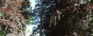 Business 18 image FIRST IMPRESSIONS Bridal Shops in Llanelli Dy