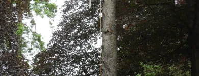 Business 19 image FIRST IMPRESSIONS Bridal Shops in Llanelli Dy