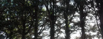 Business 20 image FIRST IMPRESSIONS Bridal Shops in Llanelli Dy