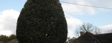 Business 3 image FIRST IMPRESSIONS Bridal Shops in Llanelli Dy