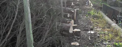 Business 4 image FIRST IMPRESSIONS Bridal Shops in Llanelli Dy