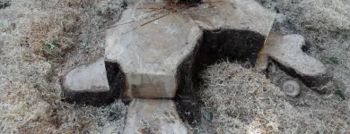 Business 5 image FIRST IMPRESSIONS Bridal Shops in Llanelli Dy