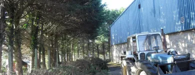 Business 7 image FIRST IMPRESSIONS Bridal Shops in Llanelli Dy