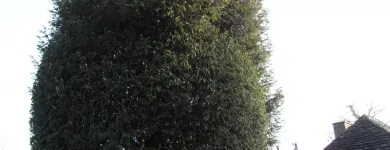 Business 8 image FIRST IMPRESSIONS Bridal Shops in Llanelli Dy