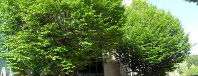 Business 11 image FIRST IMPRESSIONS Bridal Shops in Llanelli Dy