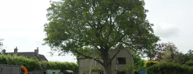 Business 12 image FIRST IMPRESSIONS Bridal Shops in Llanelli Dy