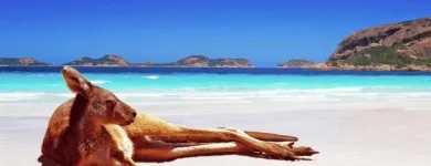 Business 1 image FLIGHT CENTRE Travel Agents & Services in Reading Be