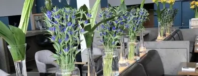 Business 2 image FLOWERS & PLANTS CO. Wedding Services in London Gr