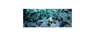 Business 4 image FOAM HIRE UK Stage Lighting Equipment in Carlisle Cu