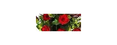 Business 13 image FOUR SEASONS FLORIST Wedding Services in Hindley Gr