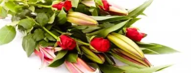 Business 2 image FOXGLOVE FLOWERS Shopping & Retail in Bristol Br