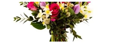 Business 3 image FOXGLOVE FLOWERS Shopping & Retail in Bristol Br