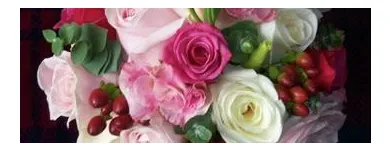 Business 5 image GARLANDS Wedding Flowers in Edinburgh Mi