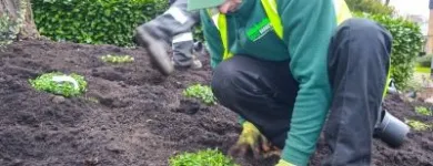 Business 1 image GRASS BARBERS Lawn Care Services in MITCHAM Gr