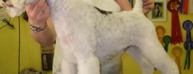 Business 3 image HALFORDS AUTOCENTRE Garage Services in Poole Do