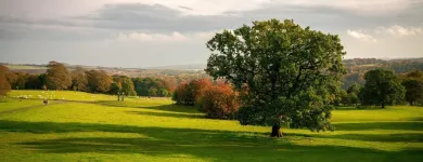 Business 6 image HOLIDAY INN EXPRESS LEEDS - EAST, AN IHG HOTEL Wedding Venues in Leeds We