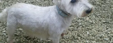 Business 3 image HYDRAULIC SPARES CENTRE LTD Hydraulic Engineers in Bolton La