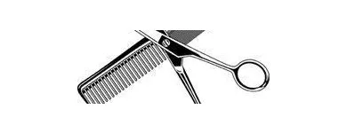 Business 15 image INTERNATIONAL COPIERS LTD Photocopiers in Reading Be