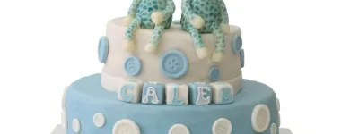 Business 11 image JAN'S THEMED CAKES Snacks & Confectionery in Bristol Br