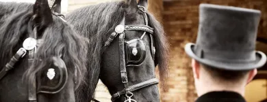 Business 1 image MILES & DAUGHTERS FUNERAL DIRECTORS Funeral Services in Reading Be