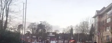 Business 18 image MOHUNKY Internet Web Design & Development in Clevedon Av