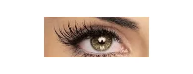 Business 2 image NATIONAL HAIR & BEAUTY INSTITUTE Vocational Schools in Leicester Le