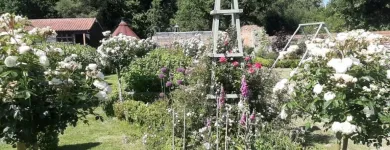 Business 21 image NORFOLK GARDEN SERVICES Paving & Driveway Contractors in Norwich No