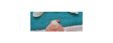 Business 10 image OCEAN WHISPERS THERAPIES Holistic Medicine Practitioners in Farnborough Ha