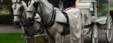 Business 7 image OM FUNERAL SERVICES LTD Transportation Services in Leicester Le