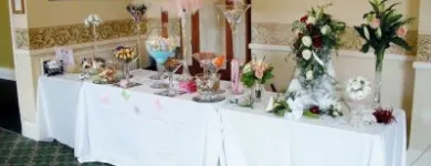 Business 3 image PARTY PERFECT Wedding Services in Hindley Gr