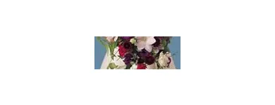 Business 8 image PARTY PERFECT Wedding Services in Hindley Gr